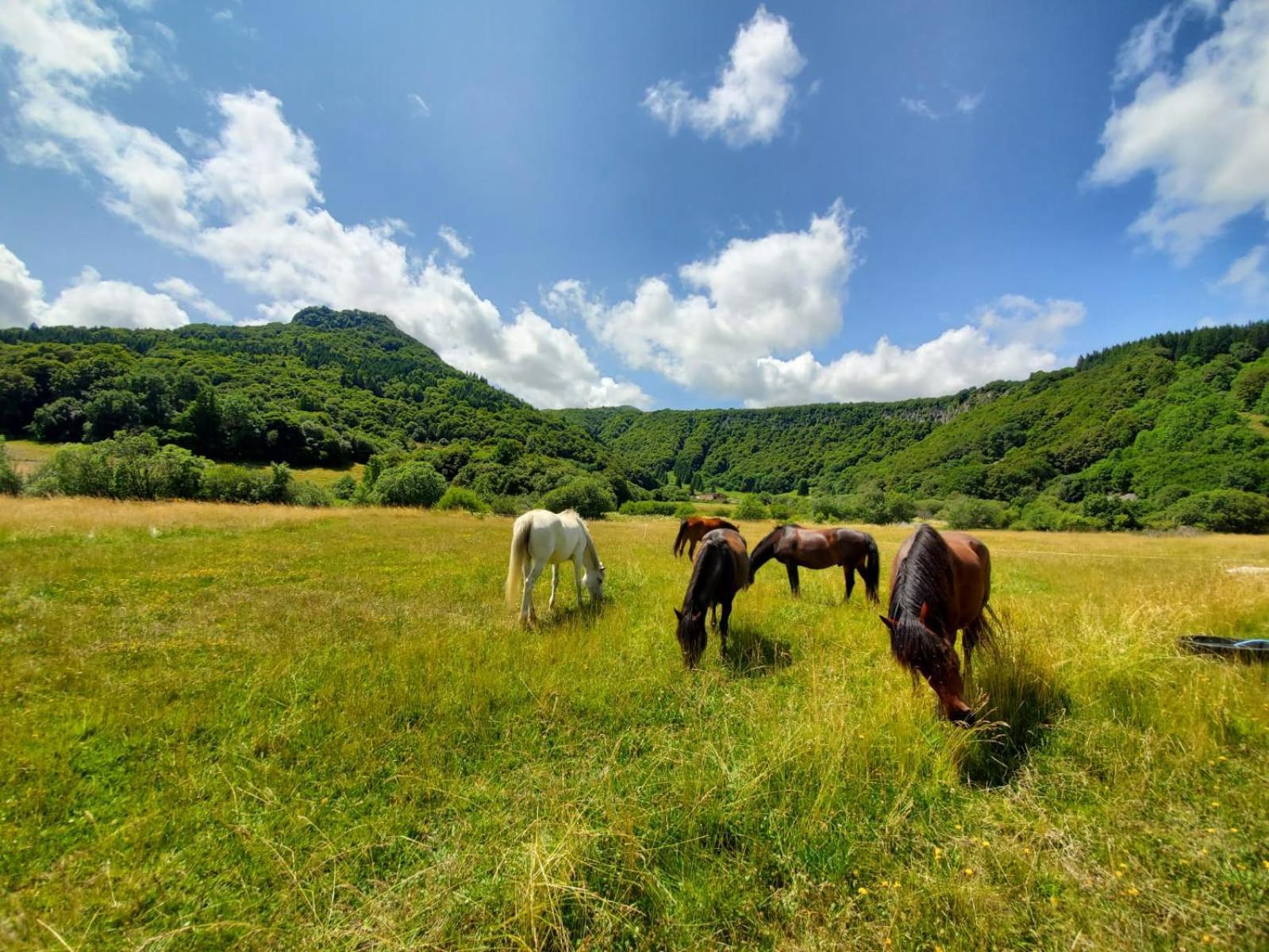 Sancy Resort 샹봉 쉬르 라크 외부 사진